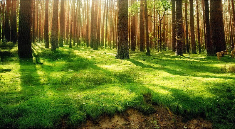 آب وهوای بلژیک