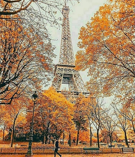 پاریس