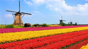جاذبه های گردشگری هلند