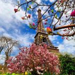 دانستنی های سفر به پاریس | راهنما - تصاویر - هزینه - فرانسه