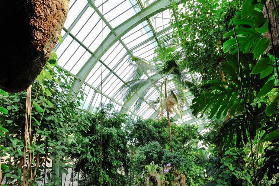 باغ گیاهان پاریس