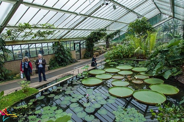 باغ گیاه شناسی آمستردام
