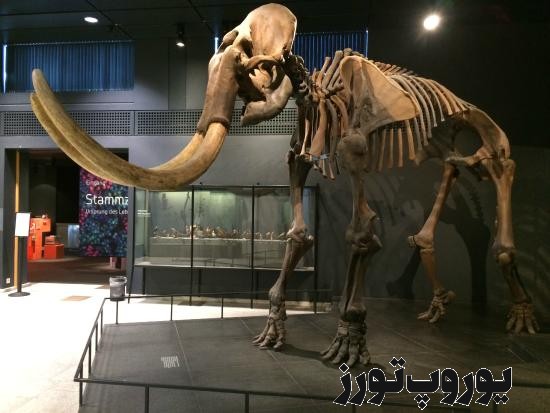 تاریخچه موزه جانورشناسی شهر زوریخ