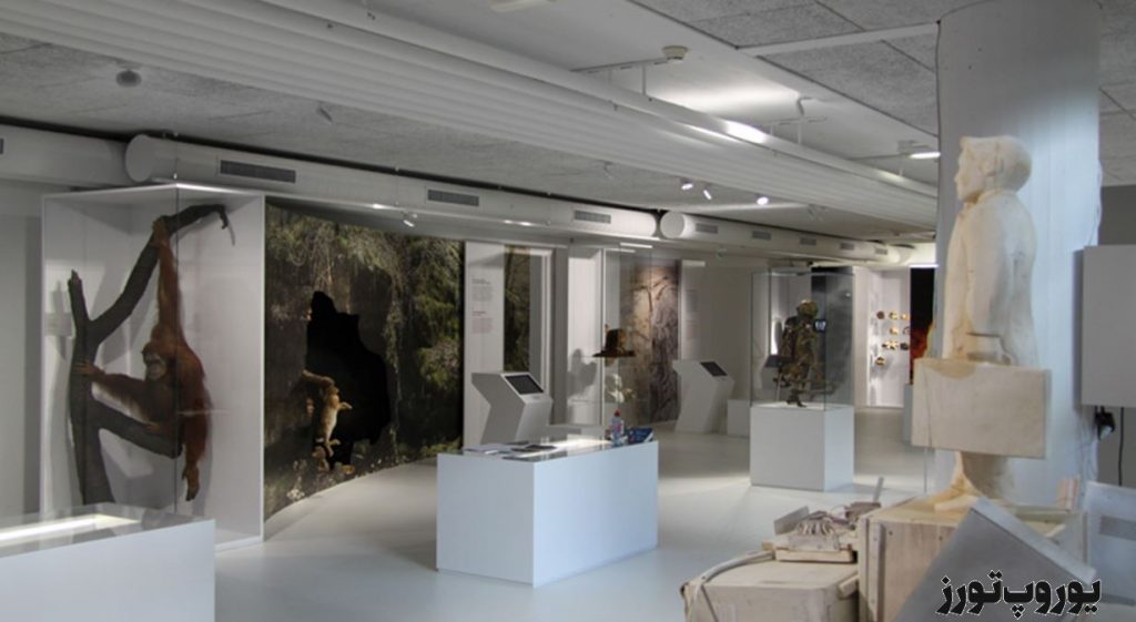 هزینه ها بازدید از موزه انسان شناسی شهر زوریخ