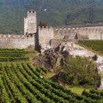 قلعه‌ های بلینزونا | معرفی - تصاویر - تاریخچه - زوریخ | سوئیس