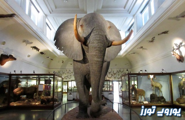 درباره موزه تاریخ طبیعی | یوروپ تورز