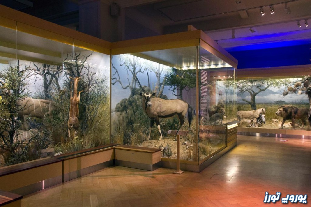 قسمت‌ های مختلف موزه تاریخ طبیعی فنلاند | یوروپ تورز