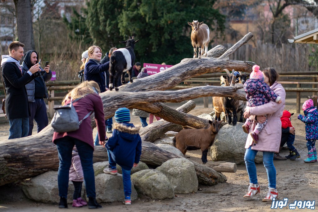 باغ وحش فرانکفورت | یوروپ تورز