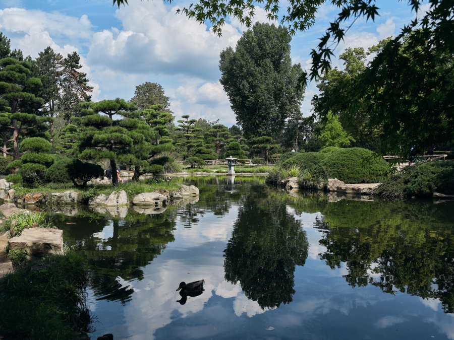 باغ ژاپنی نرد پارک | یوروپ تورز