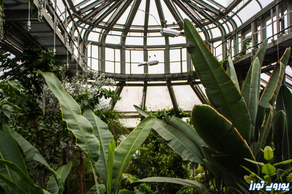 بازدید از باغ و موزه گیاه شناسی در برلین به کمک تور برلین | یوروپ تورز
