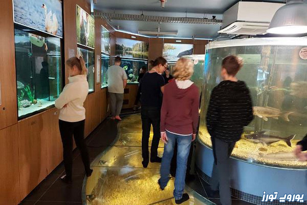 موزه دریاچه کالالا استونی | یوروپ تورز