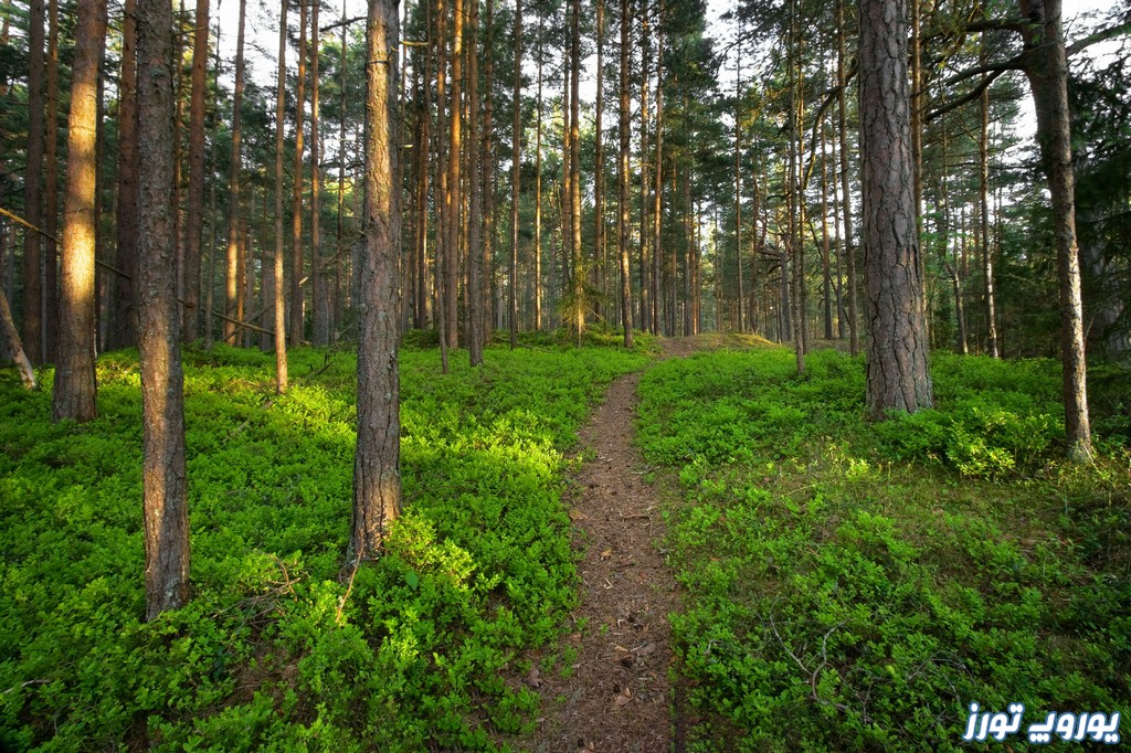پارک ملی لاهما استونی | یوروپ تورز