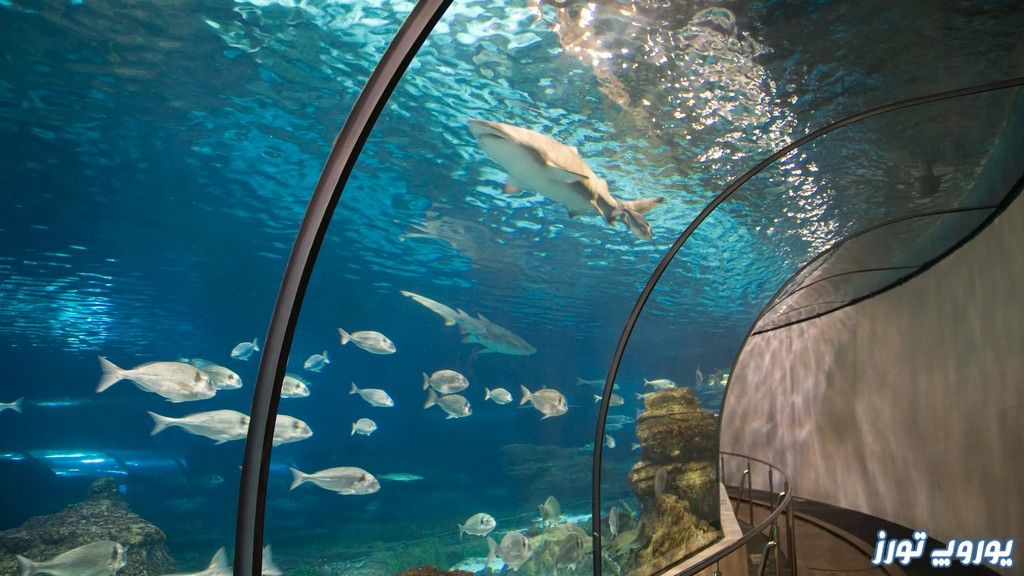 موزه اقیانوس شناسی از موزه های بارسلونا | یوروپ تورز
