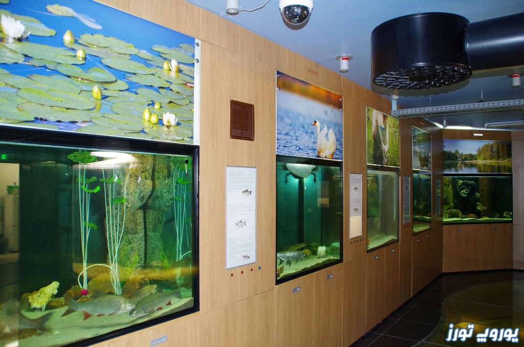 اطلاعات دیگر در مورد موزه دریاچه کالالا استونی | یوروپ تورز