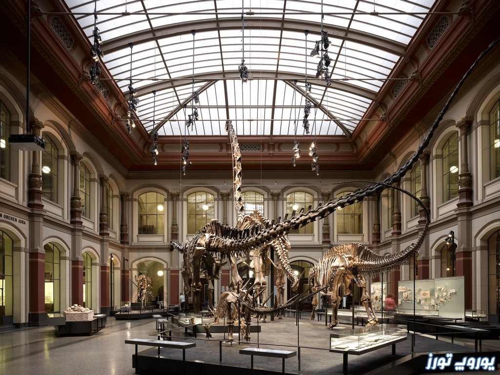 نکات مورد توجه در بازدید از موزه علوم طبیعی شهر بارسلونا | یوروپ تورز