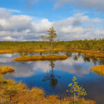 معرفی و آشنایی کامل با پارک ملی لاهما استونی - استونی