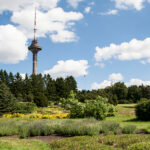 برج تلویزیونی تالین | تاریخچه - طراحی - تصاویر - استونی