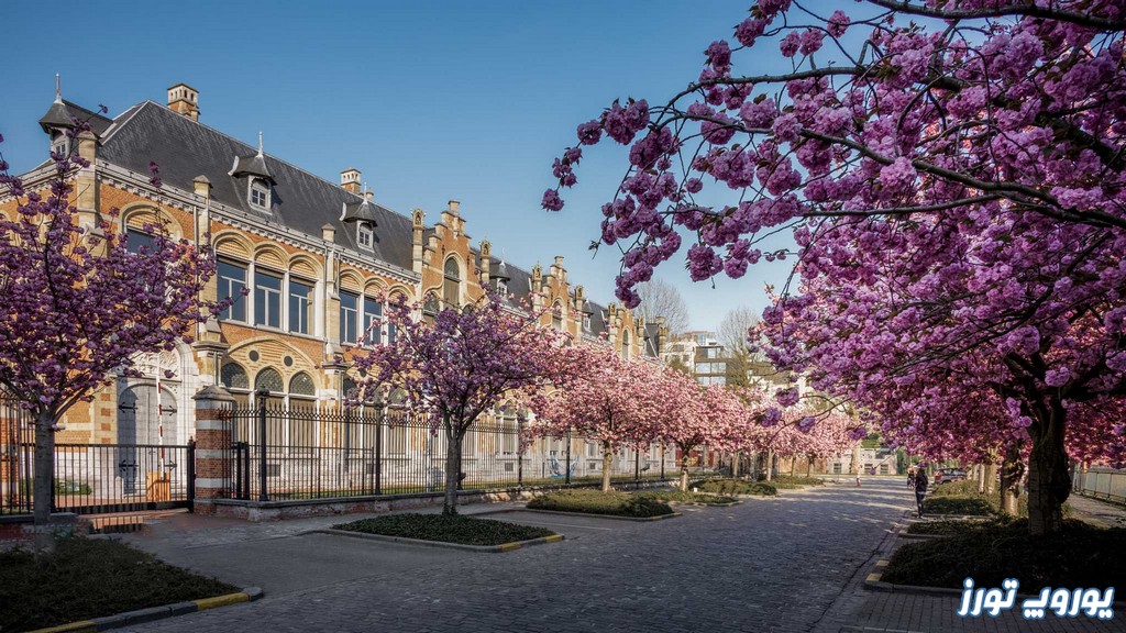 آب‌ و هوای بلژیک در فصل بهار | یوروپ تورز