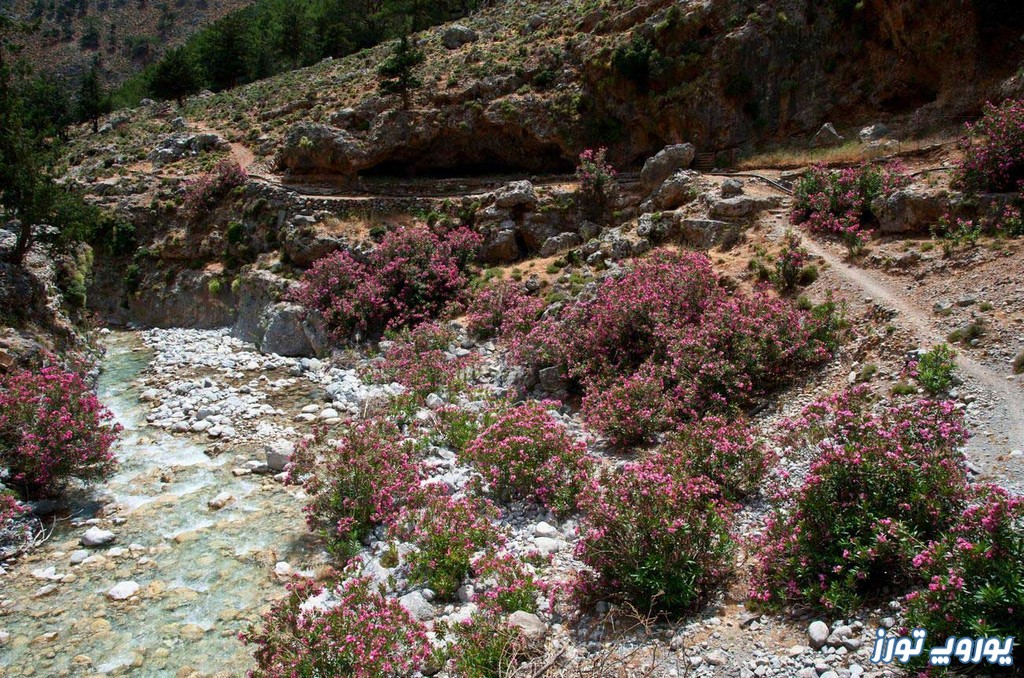ویژگی‌ های منحصر به فرد پارک ملی دره ساماریا | یوروپ تورز