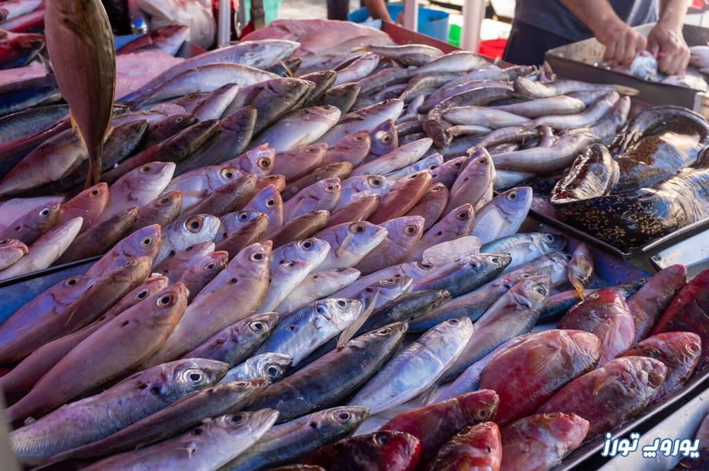 چه زمانی می‌توانیم از بازار ماهی مارساکلاک مالت دیدن کنیم؟ | یوروپ تورز
