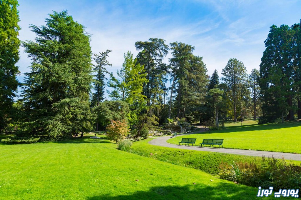 در ابتدا، شما می‌توانید به معرفی پارک گرنج (Jardin Anglais) بپردازید و اهمیت آن به عنوان یکی از مهم‌ترین فضاهای سبز شهر ژنو را برجسته کنید - یوروپ تورز