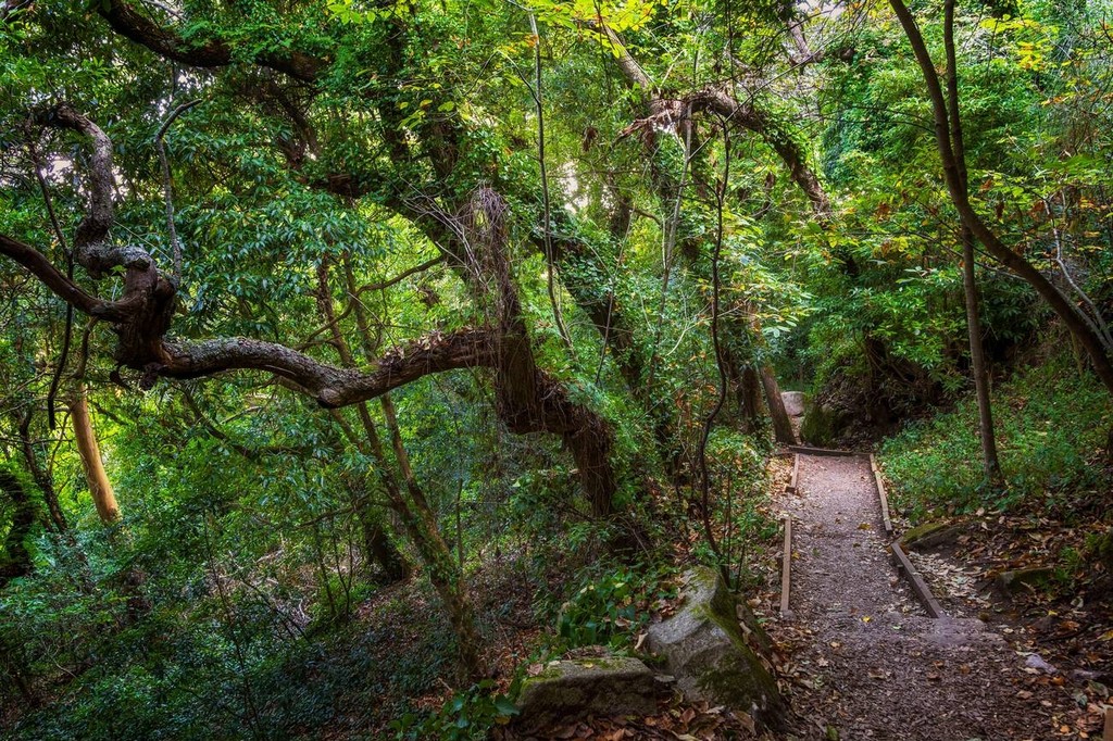 پارک ملی سینترا کاسکایس، که در لیست میراث جهانی یونسکو نیز به ثبت رسیده است، مثال بارزی از تعادل میان تمدن بشری و طبیعت است
