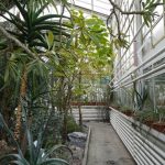 مجموعه گیاهان آب‌ دار زوریخ - همزیستی گونه‌های گیاهی با اقلیم‌های متغیر