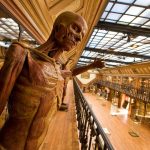 موزه پزشکی - از مهم‌ترین مراکز نگهداری و مطالعه تاریخ پزشکی در اروپا